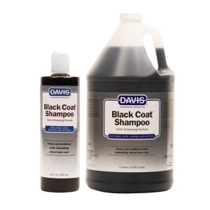 Black shampoo davis
